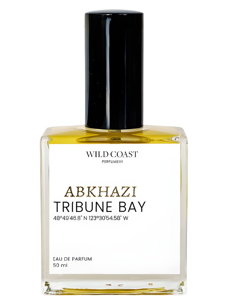 Abkhazi