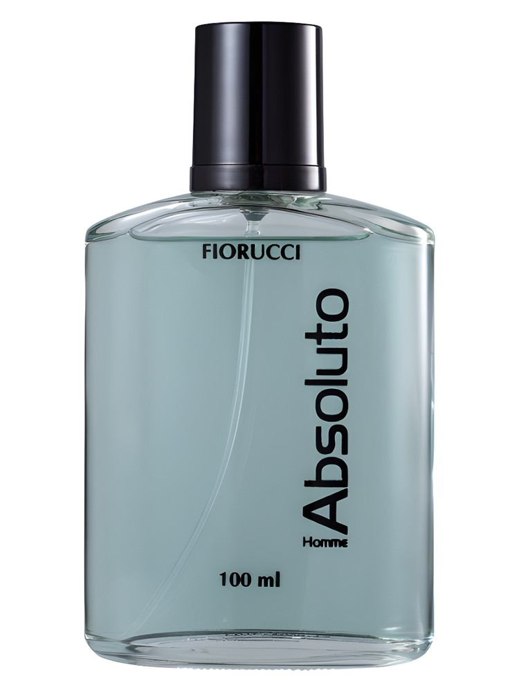 Absoluto Homme