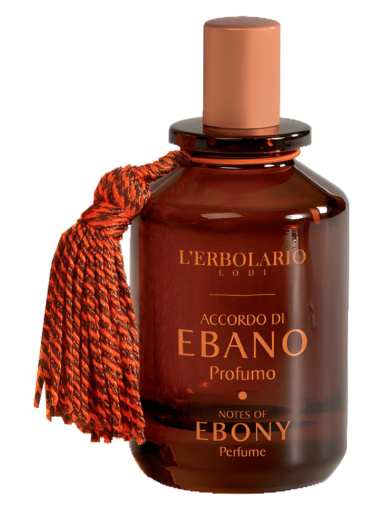 Accordo Di Ebano (Perfume Notes Of Ebony)