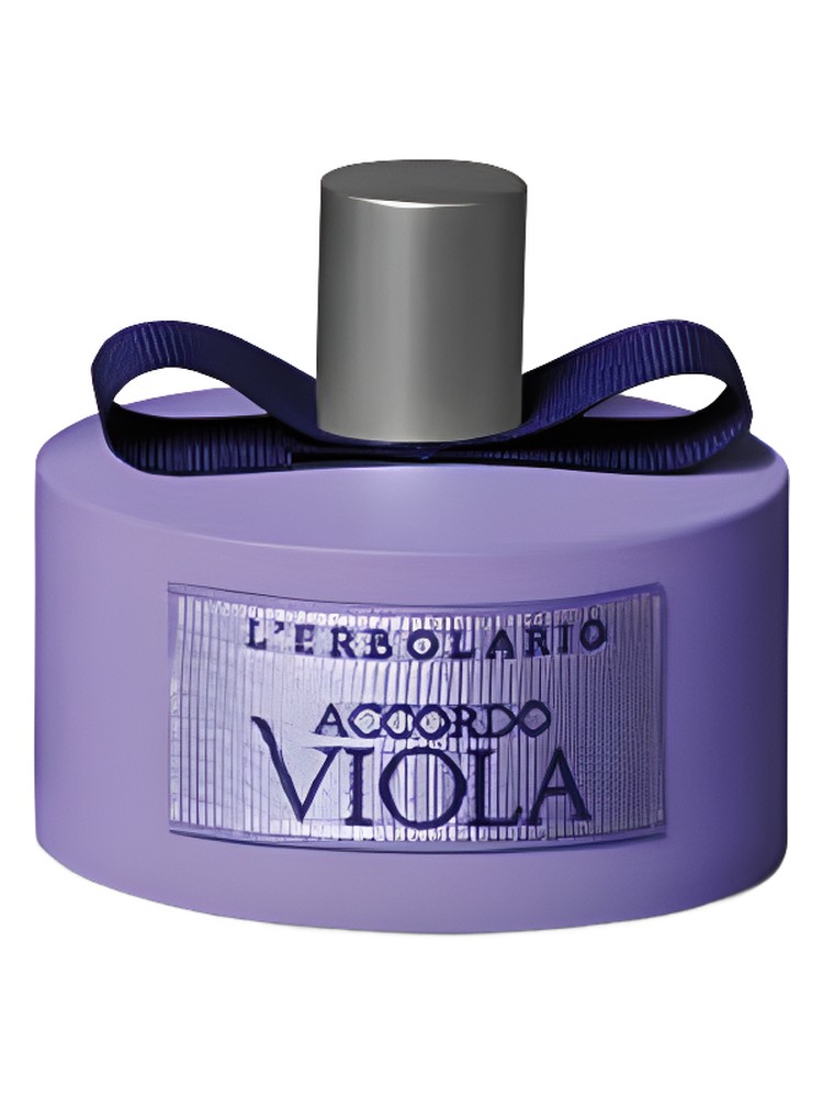 Accordo Viola