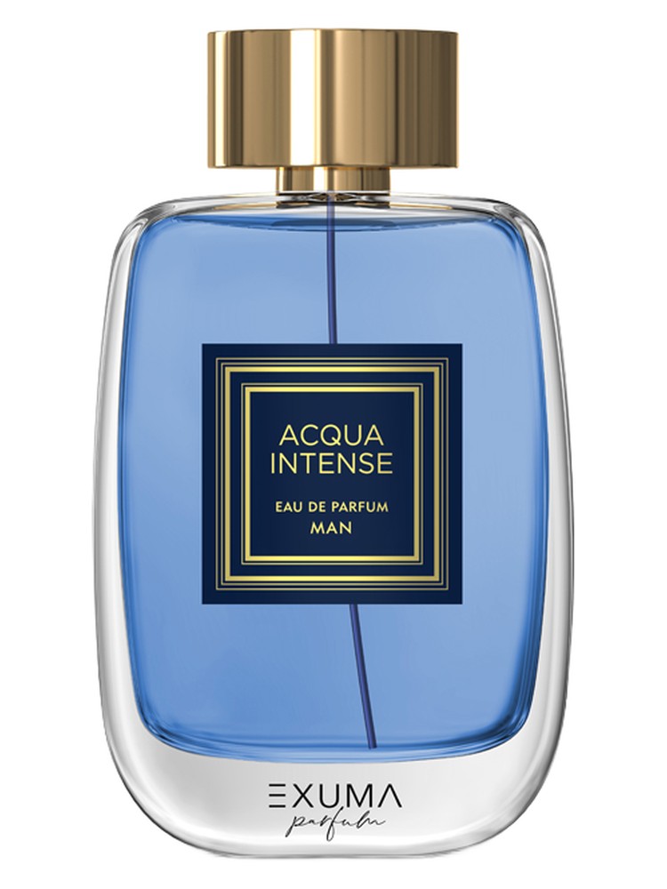 Acqua Intense Man
