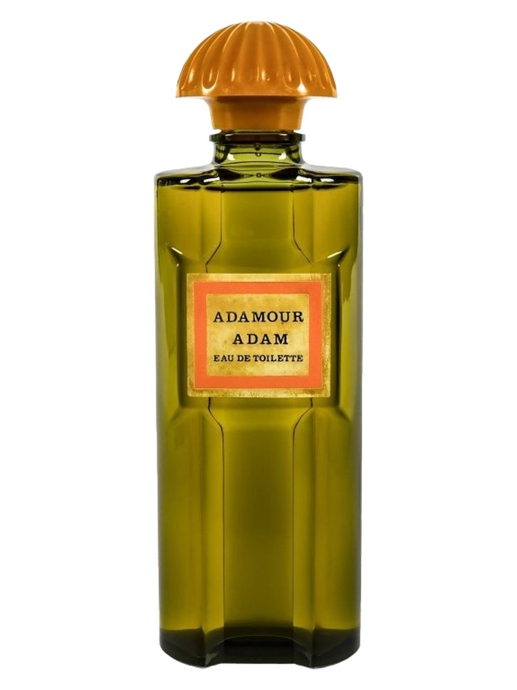 Adamour