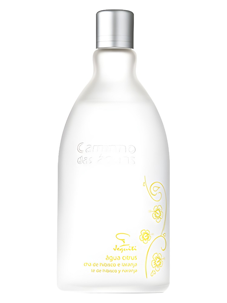 Água Citrus Chá de Hibisco e Laranja