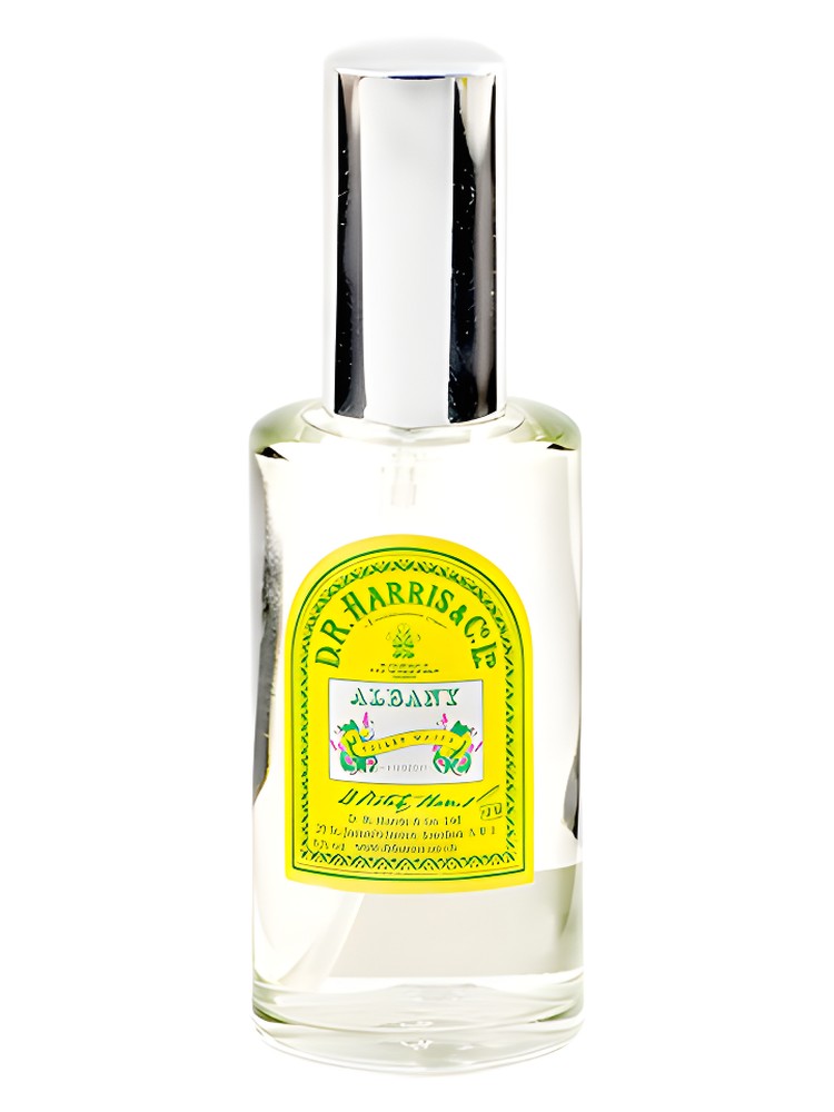 Albany Cologne
