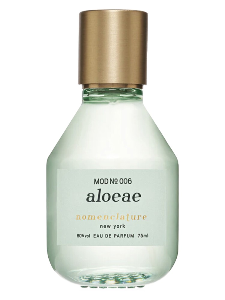 Aloeae