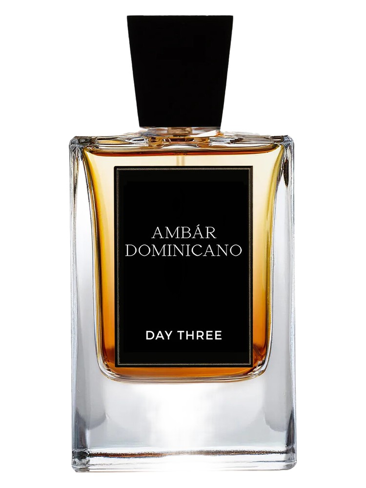 Ámbar Dominicano