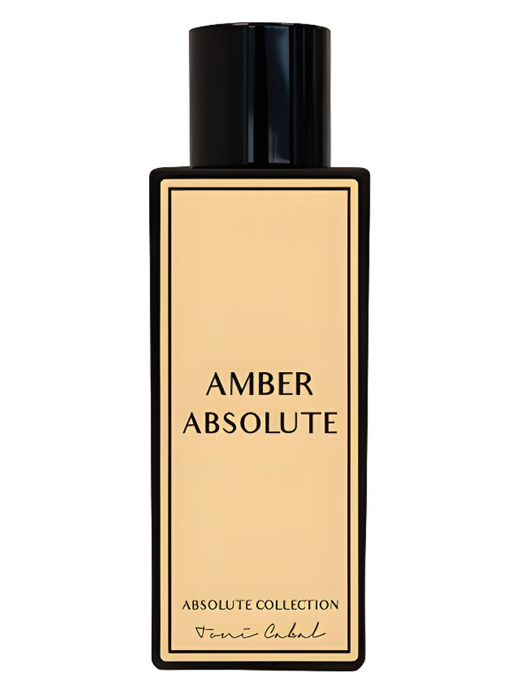 Amber Absolute
