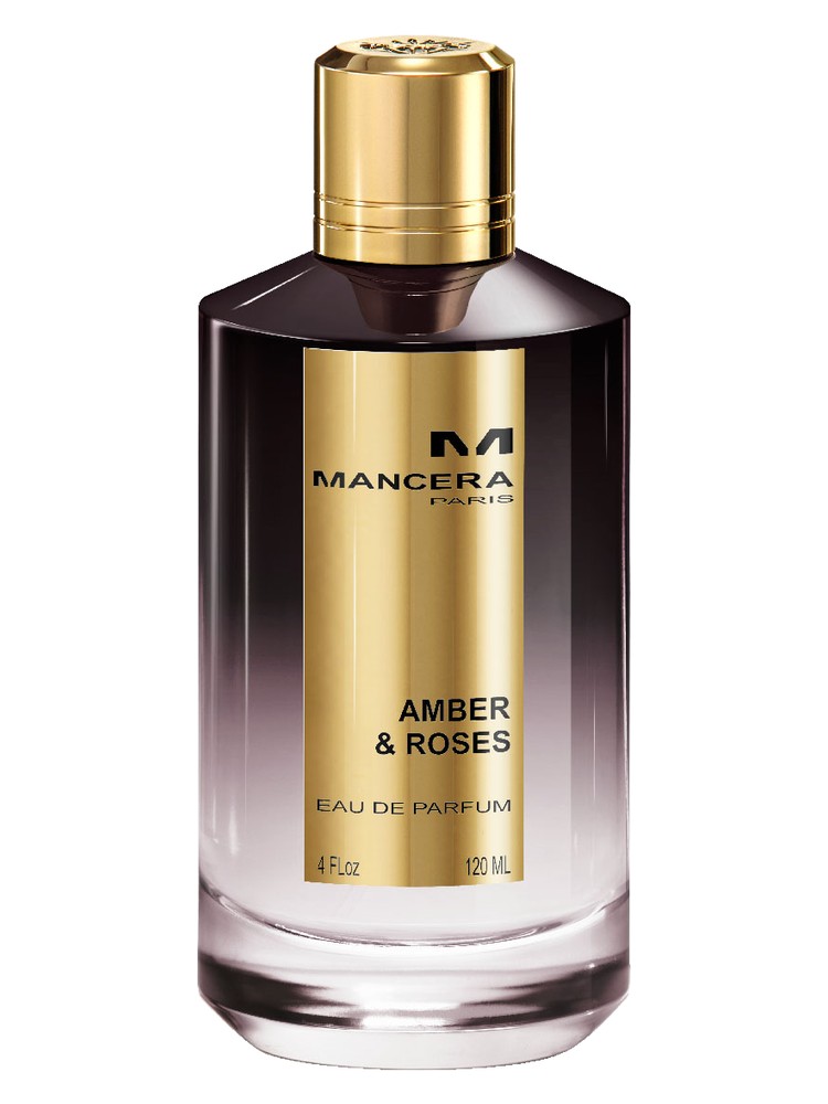 Amber & Roses