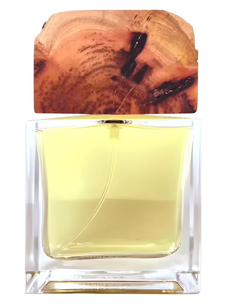 Ambra