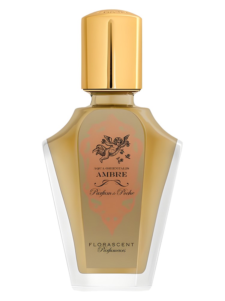 Ambre