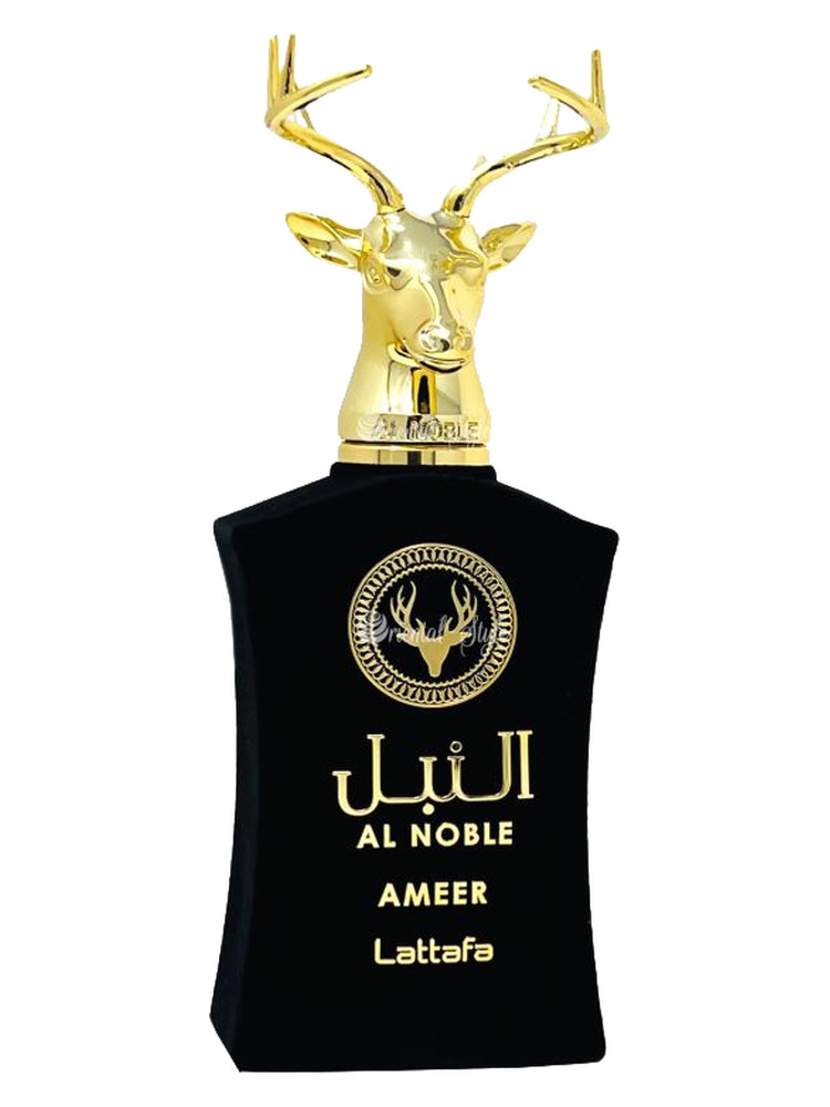 Ameer