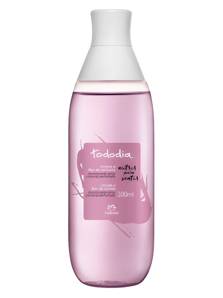 Ameixa e Flor de Cerejeira