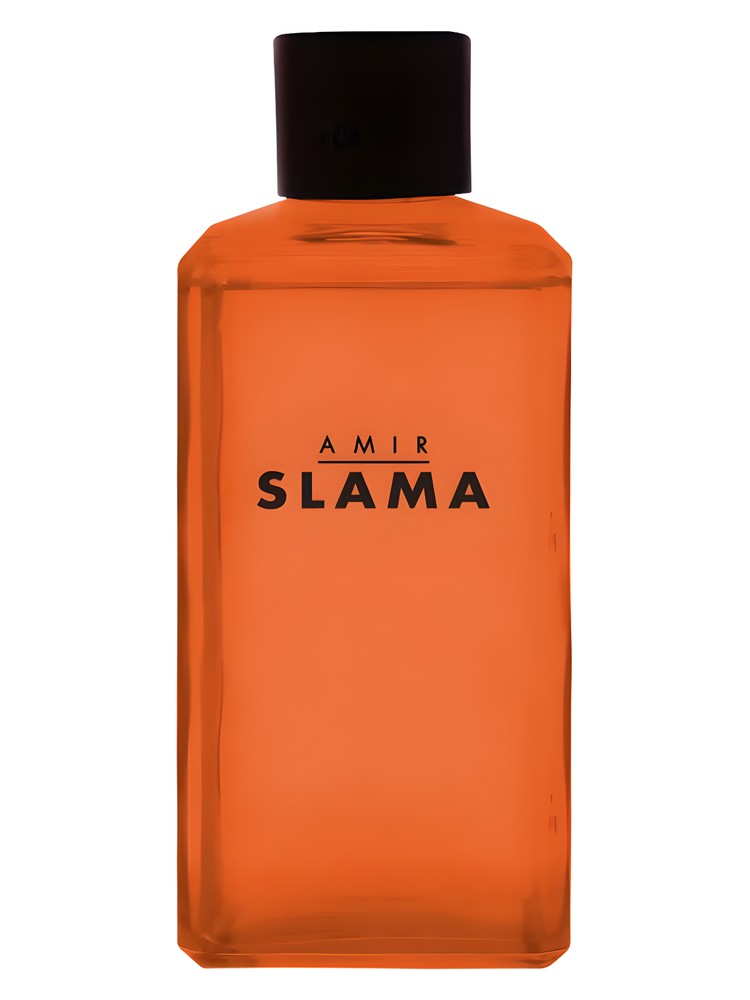 Amir Slama Raiz