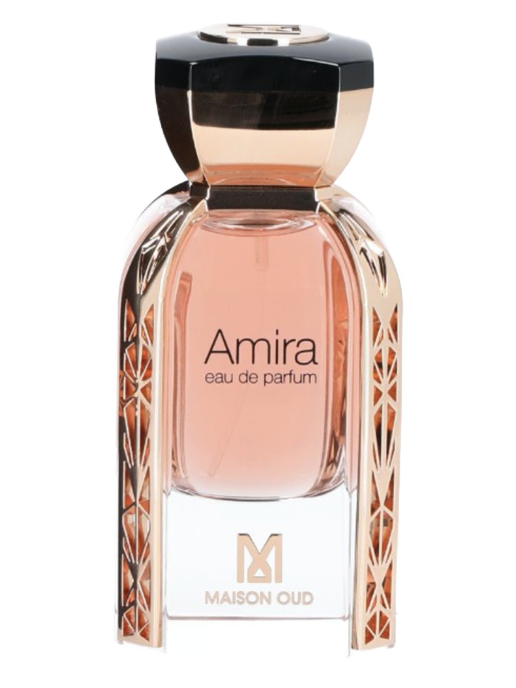 Amira