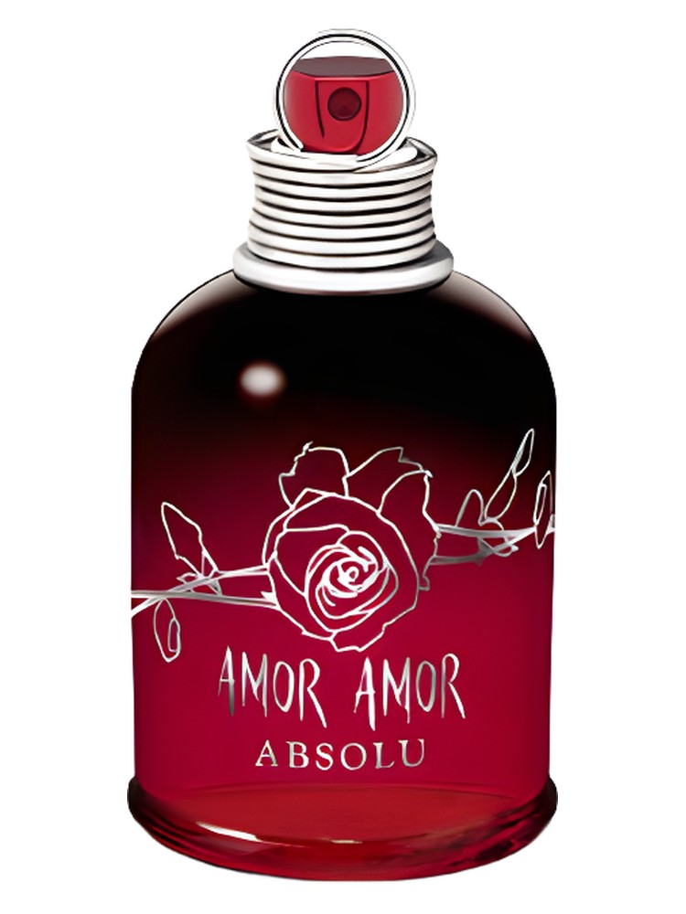Amor Amor Absolu