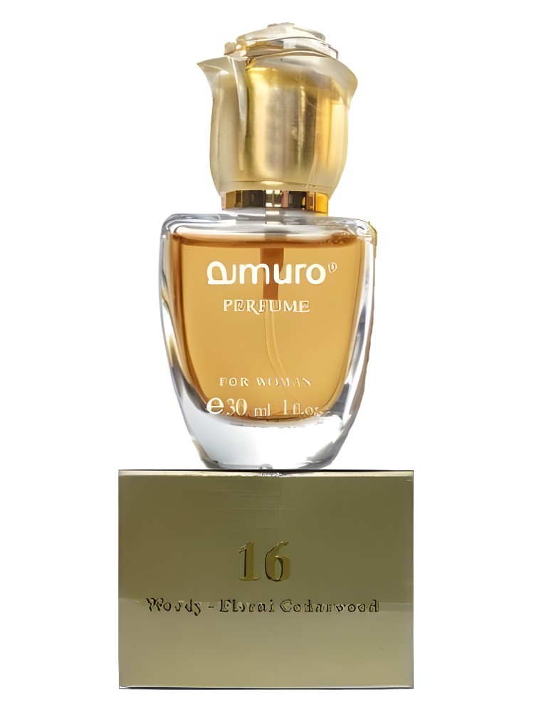 Amuro 16