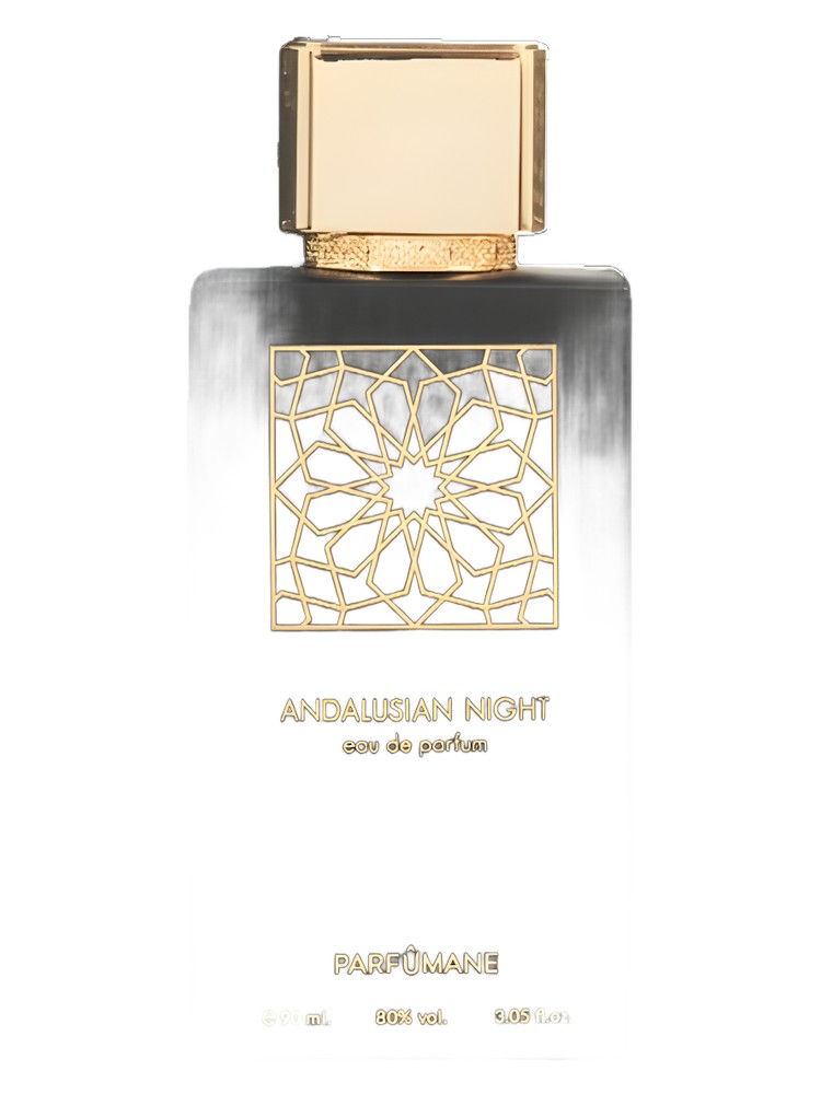 Andalusian Night
