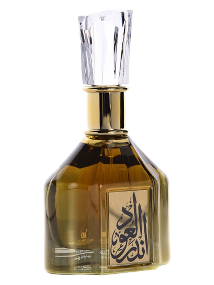Ander Al Oud
