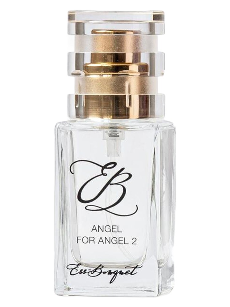 Angel for Angel 2