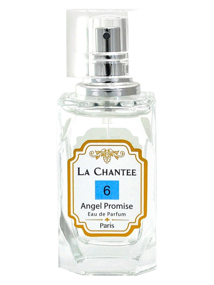 Angel Promise No. 6