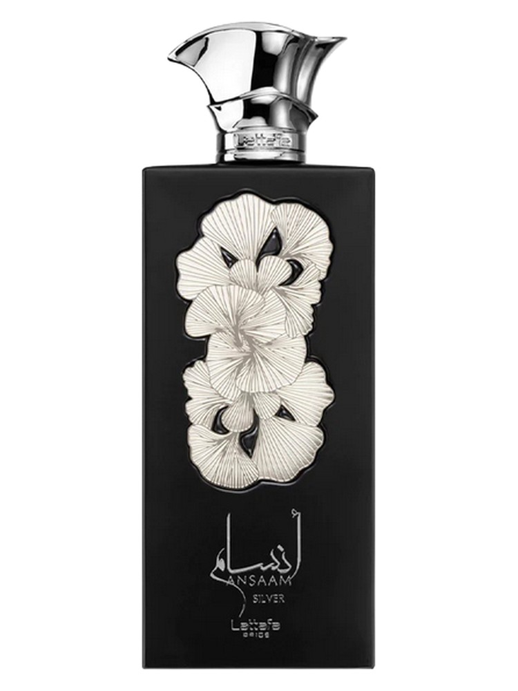 Ansaam Silver