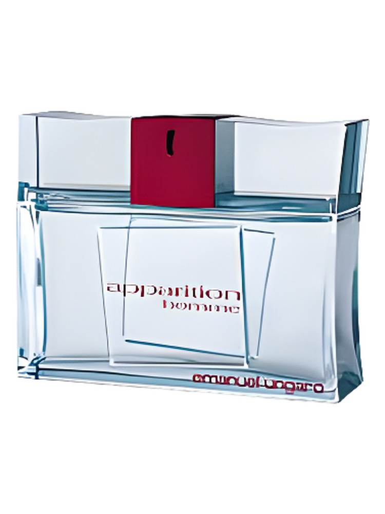 Apparition Homme