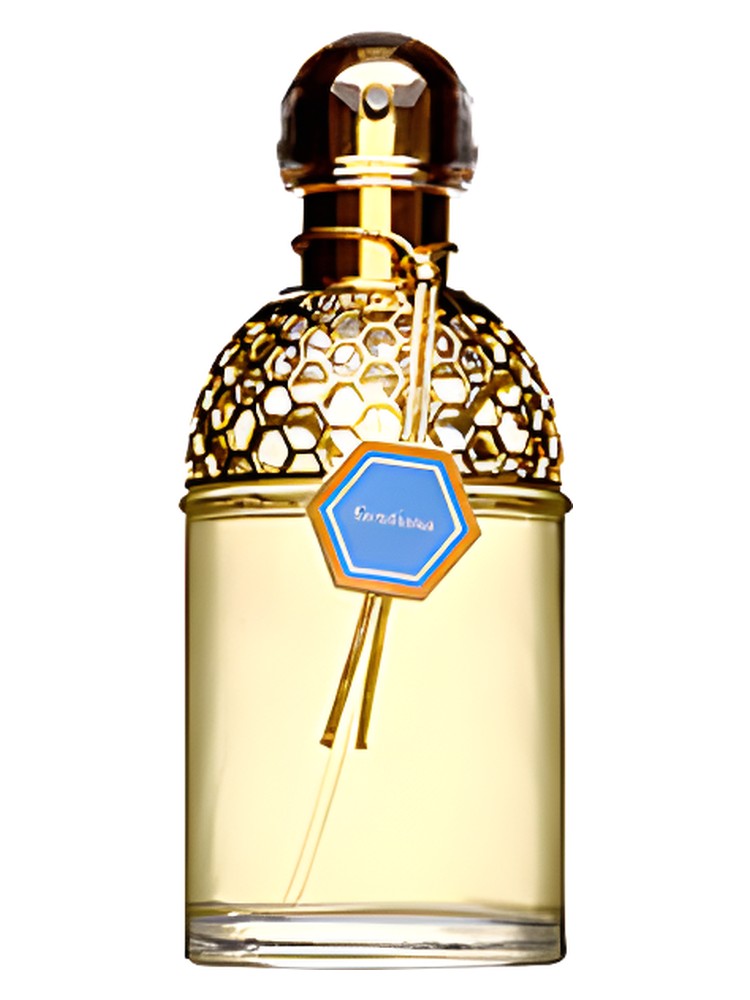 Aqua Allegoria Gentiana