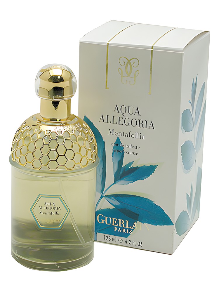 Aqua Allegoria Mentafollia