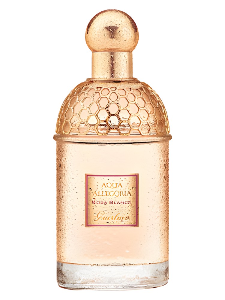 Aqua Allegoria Rosa Blanca