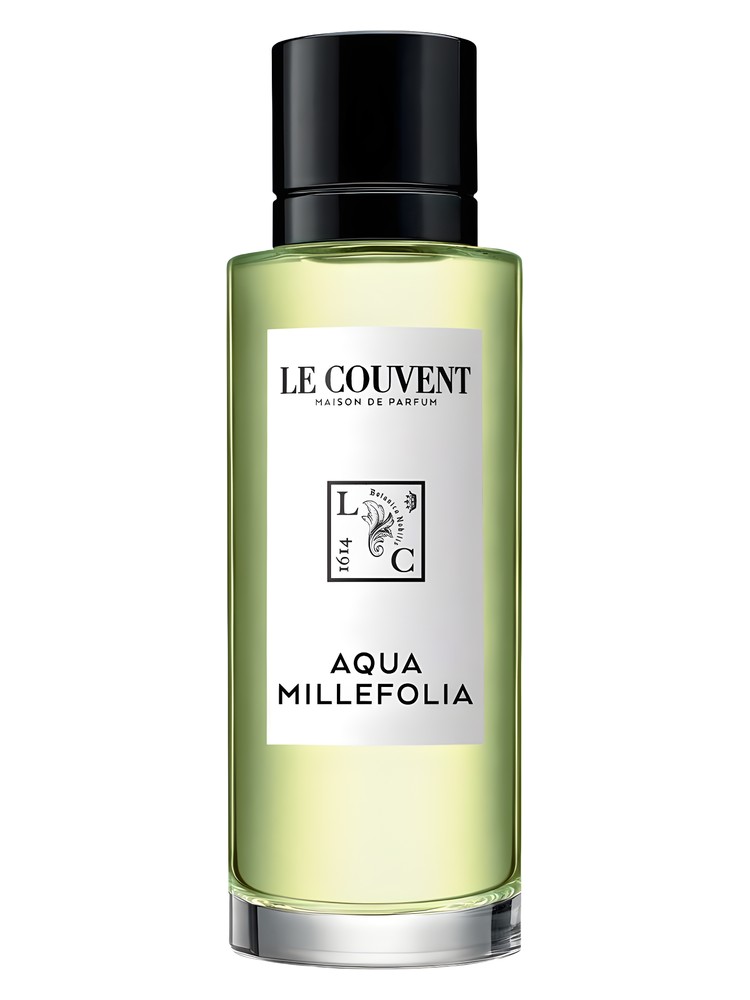 Aqua Millefolia