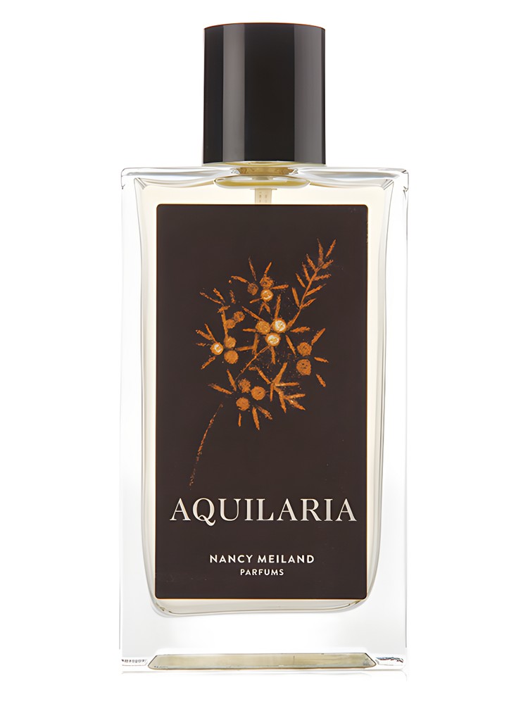 Aquilaria