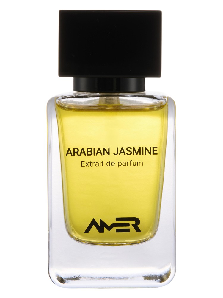 Arabian Jasmine