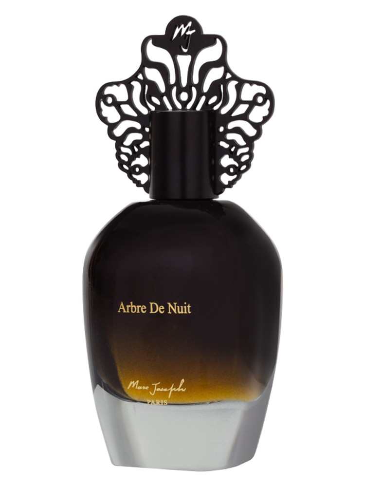 Arbre De Nuit