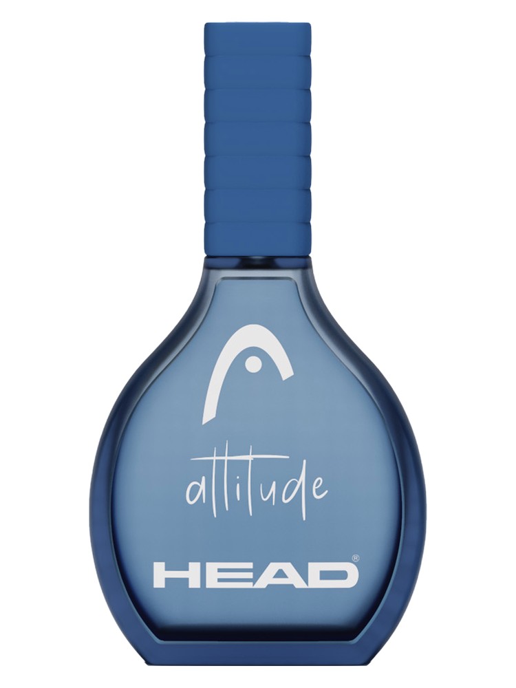 Attitude