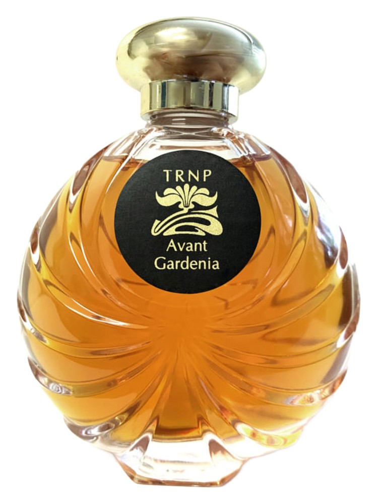 Avant Gardenia