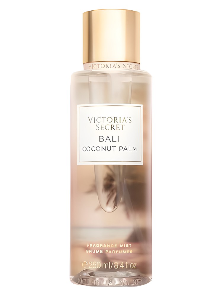 Bali Coconut Palm