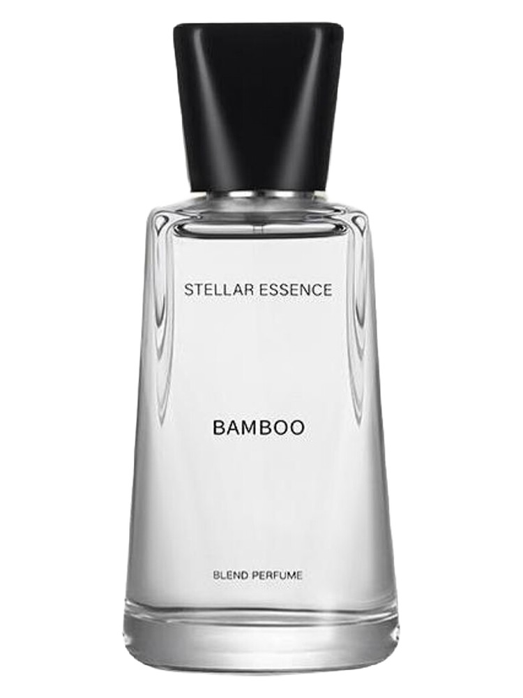 Bamboo