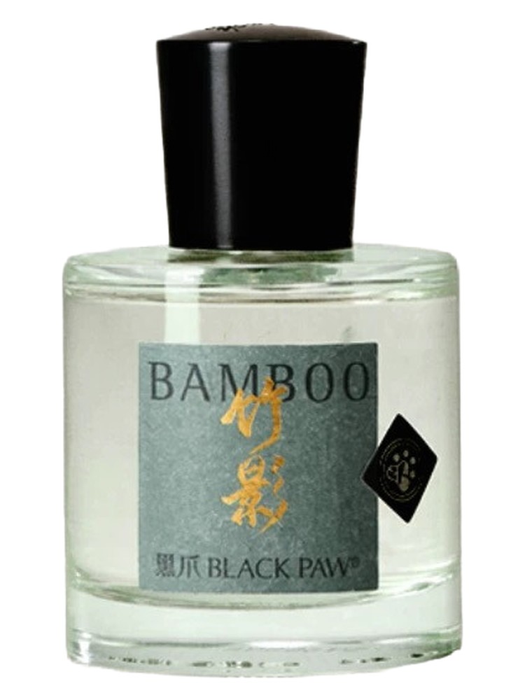 Bamboo 竹影