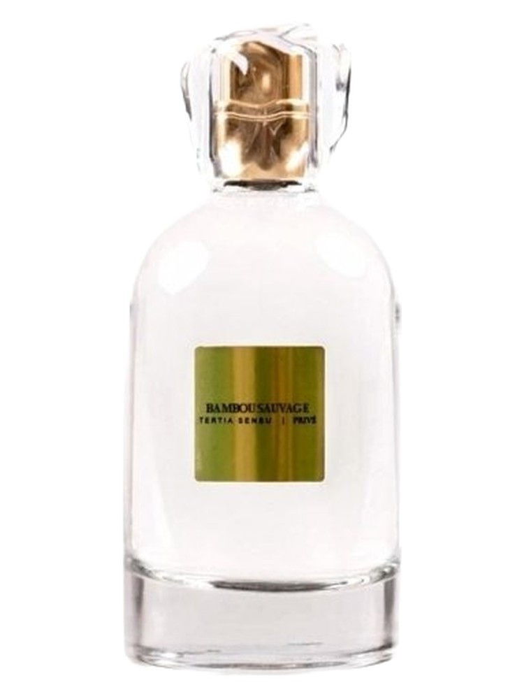 Bambou Sauvage