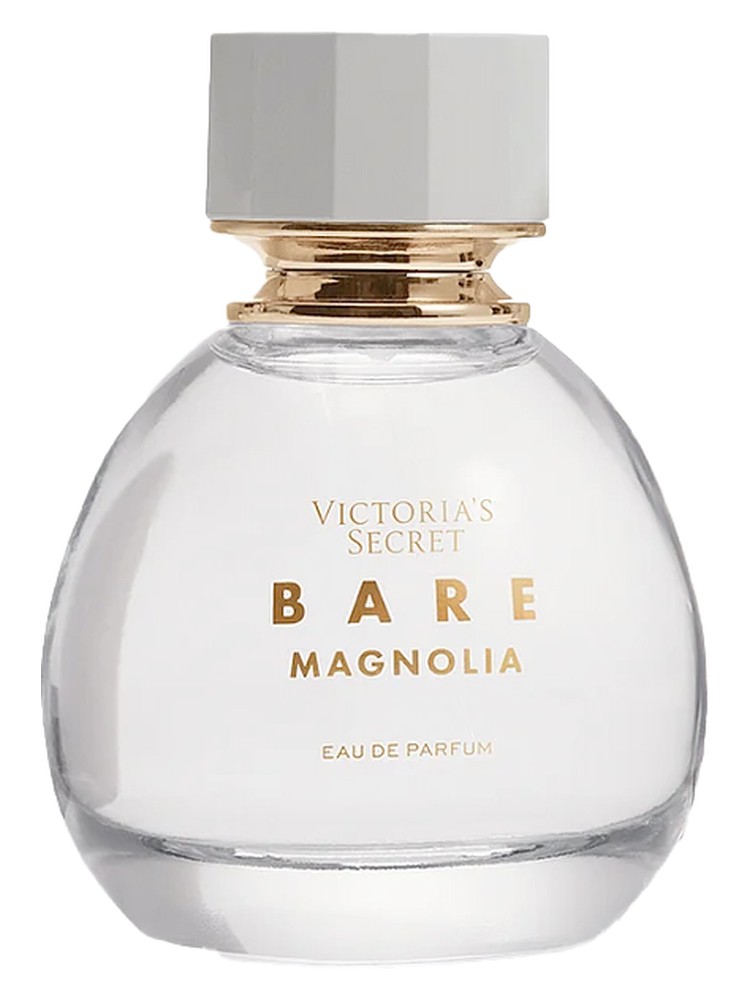 Bare Magnolia