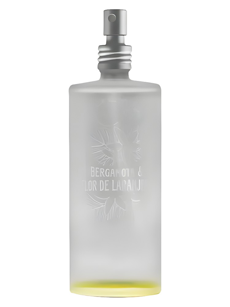 Bergamota & Flor de Laranjeira
