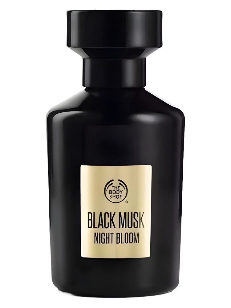 Black Musk Night Bloom