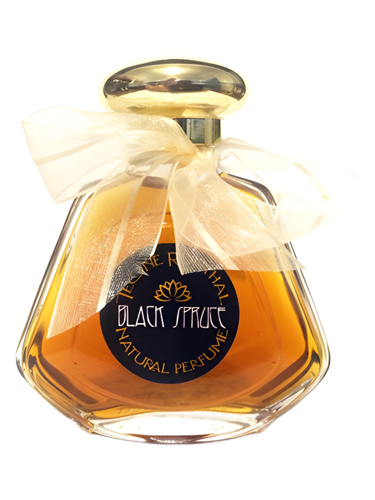Black Spruce