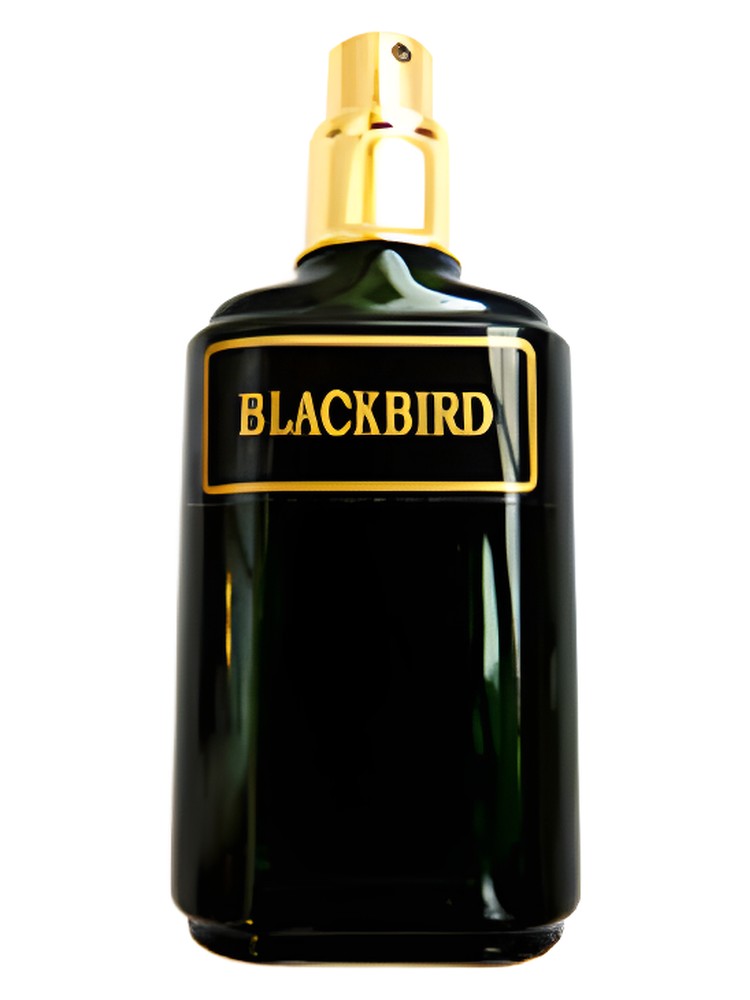Blackbird