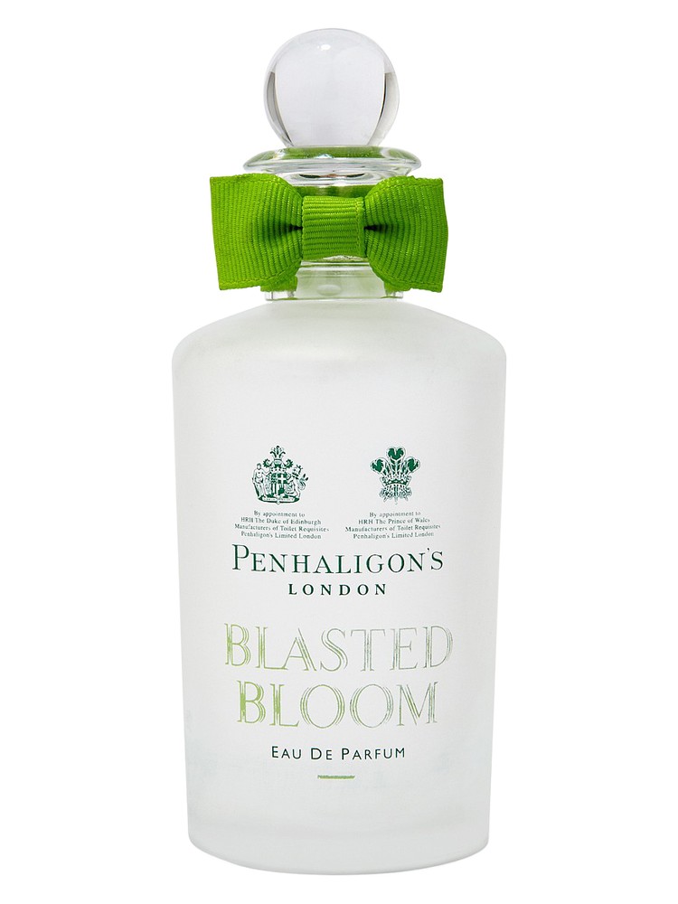 Blasted Bloom
