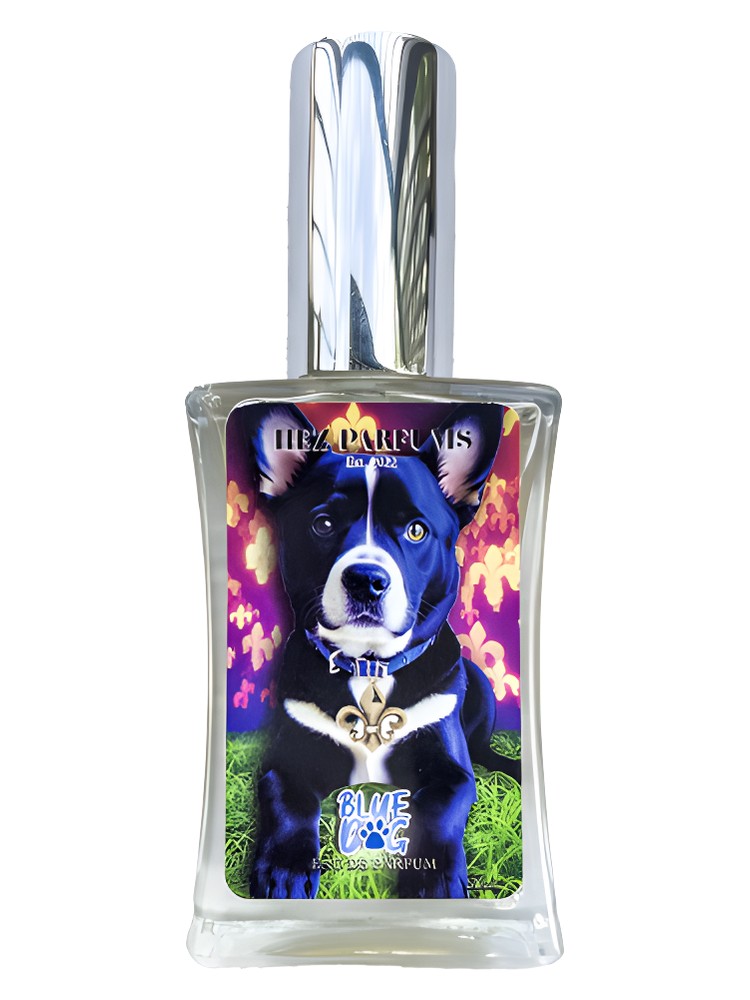 Blue Dog