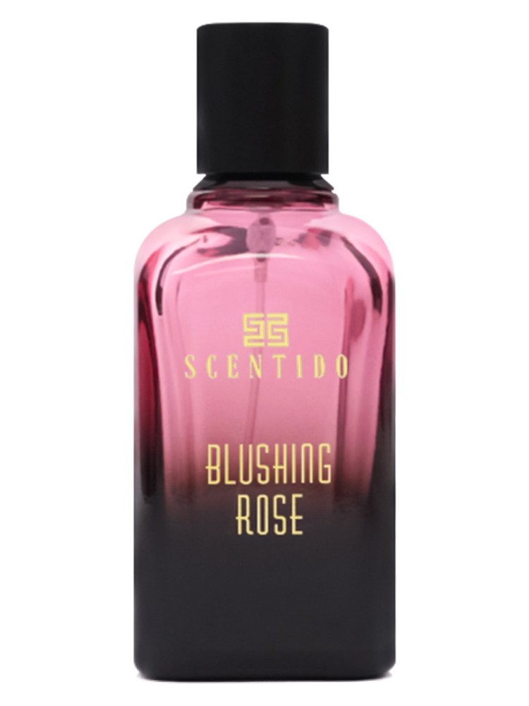 Blushing Rose