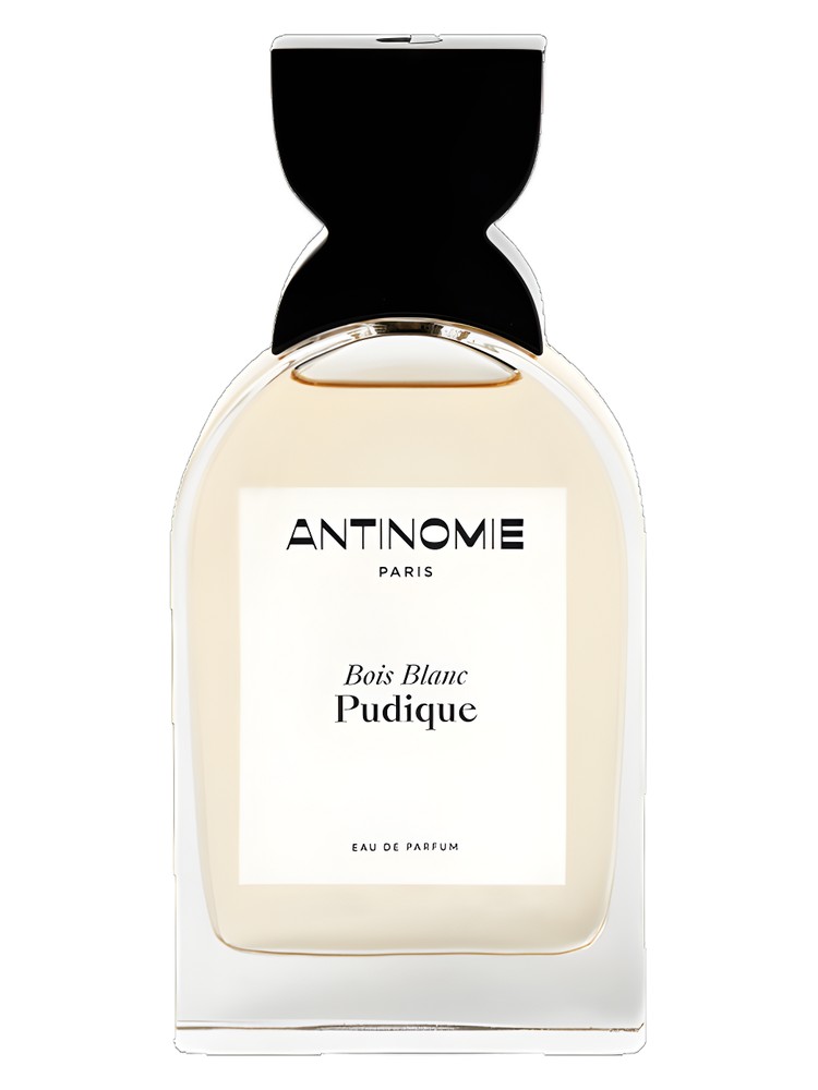 Bois Blanc Pudique