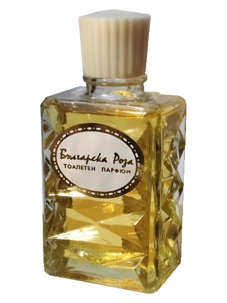 Болгарская роза (Bulgarian Rose)