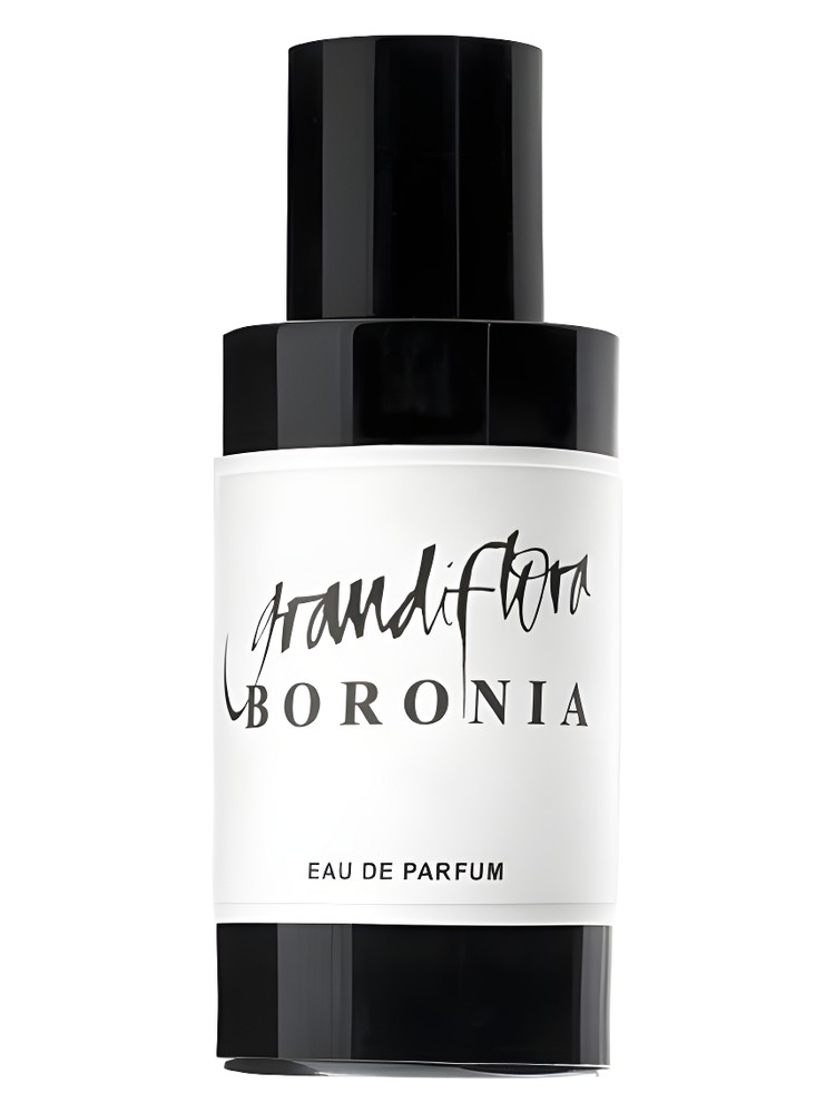 Boronia